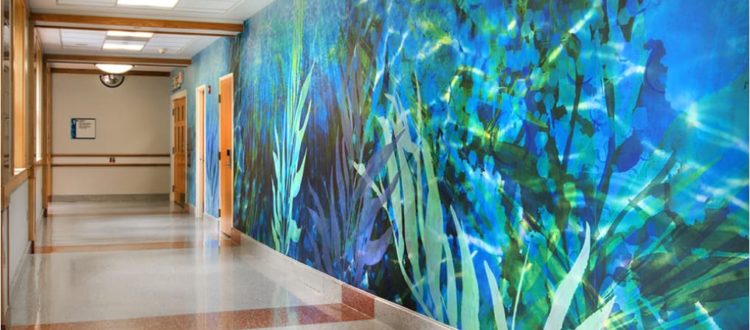 Couloir d'hôpital, murs recouverts par des panneaux muraux Acrovyn By Design