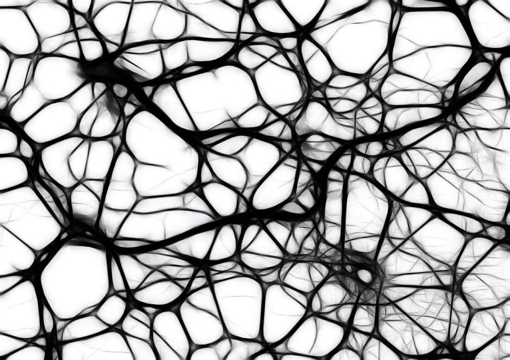 Esquisse synapse, neurone